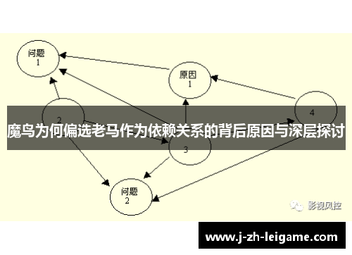魔鸟为何偏选老马作为依赖关系的背后原因与深层探讨