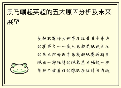 黑马崛起英超的五大原因分析及未来展望